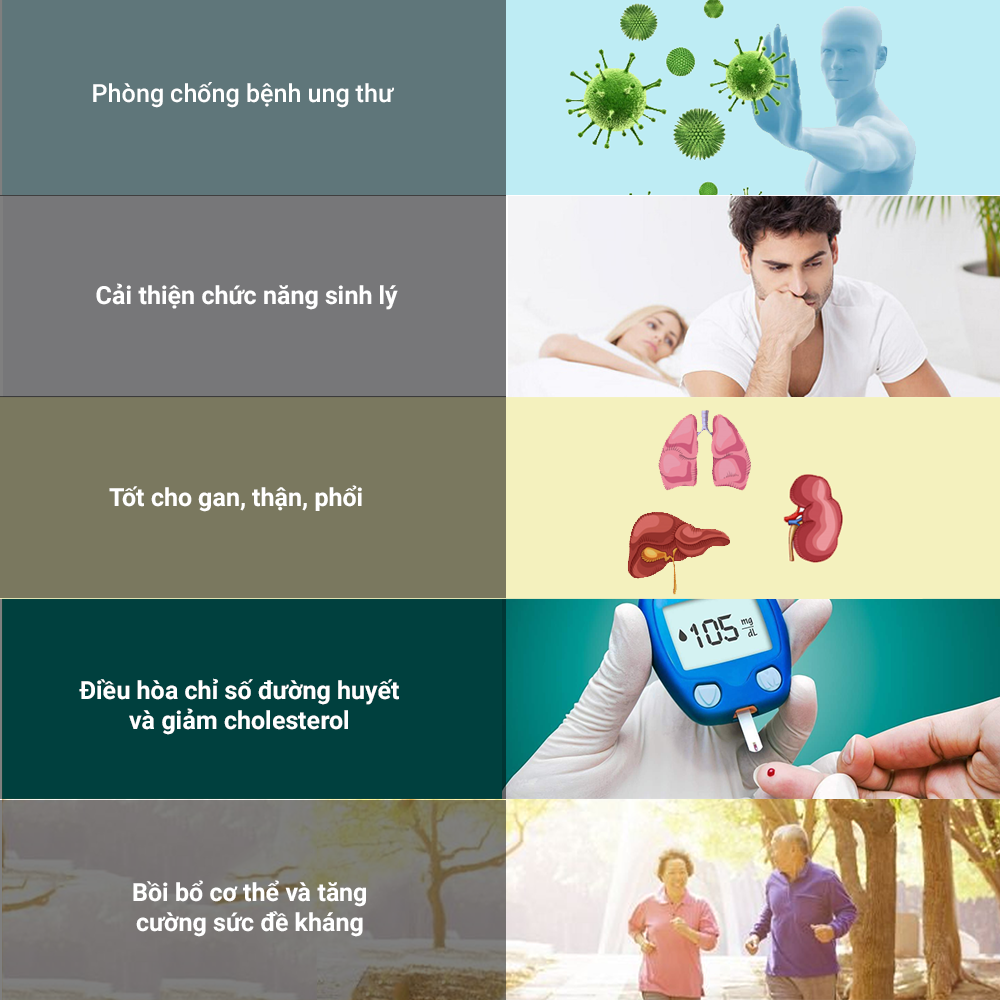 Đông trùng hạ thảo Toro sấy thăng hoa nguyên sợi tăng cường sinh lý nam 10g Đông trùng hạ thảo Toro sấy thăng hoa nguyên sợi tăng cường sinh lý nam 10g