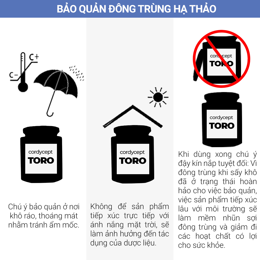 Đông trùng hạ thảo Toro sấy thăng hoa nguyên sợi tăng cường sinh lý nam 10g Đông trùng hạ thảo Toro sấy thăng hoa nguyên sợi tăng cường sinh lý nam 10g
