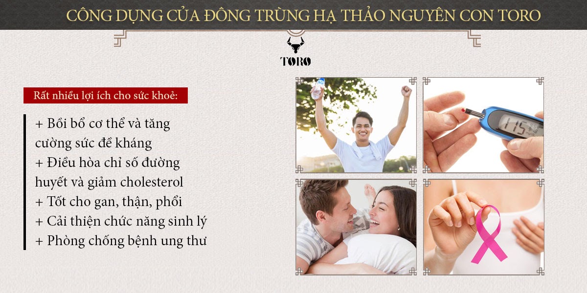 Đông trùng hạ thảo nguyên con 5g Bồi bổ sinh lý Tăng sức khỏe Đông trùng hạ thảo nguyên con 5g Bồi bổ sinh lý Tăng sức khỏe