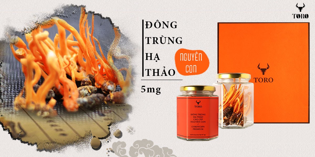 Đông trùng hạ thảo nguyên con 5g Bồi bổ sinh lý Tăng sức khỏe Đông trùng hạ thảo nguyên con 5g Bồi bổ sinh lý Tăng sức khỏe