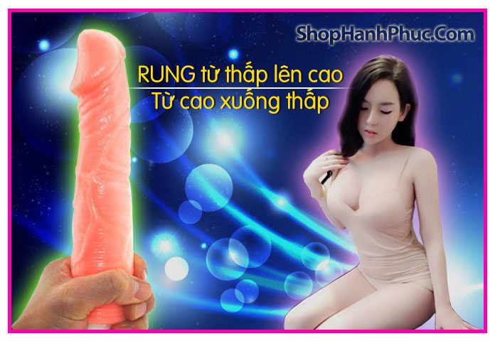 Mua Dương Vật Giả Rung Cao Cấp Giá Tốt Tặng Gel Bôi Trơn