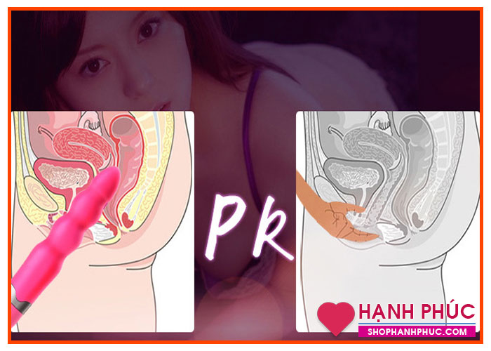 Dương Vật Giả Móc Cua Hồng Quyến Rũ Cao Cấp SHP833 Siêu Thật