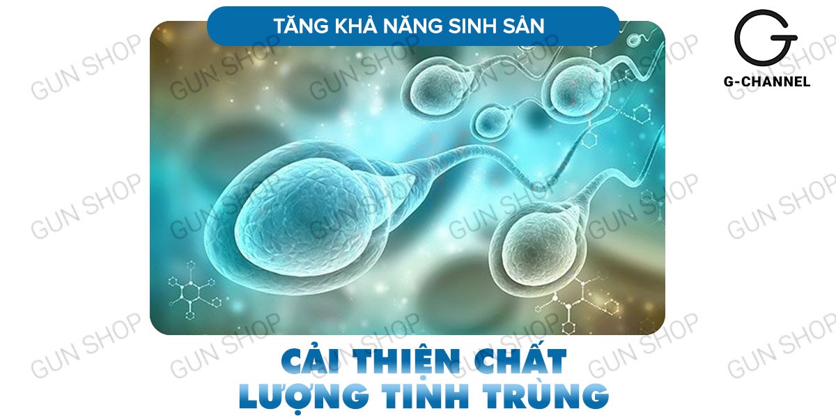 Maxman chính hãng kéo dài thời gian tăng cường sinh lý hộp 10 viên